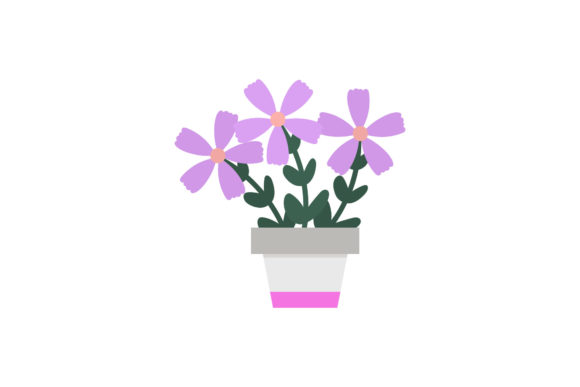 Beauty Flowers Pot Illustration Graphics