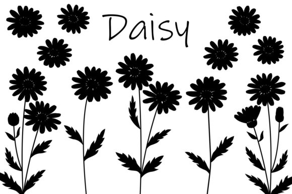 Daisy Silhouettes: Flowers Silhouettes Graphics for Editorial Design