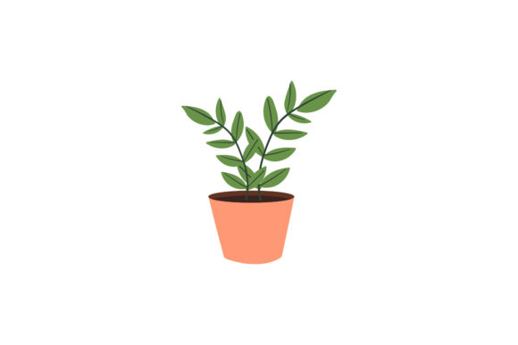 Flowers Pot Natural Graphics and Illustrations Review