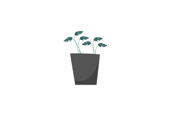 Flowers Pot Nature Blooming Graphics and Illustrations Review