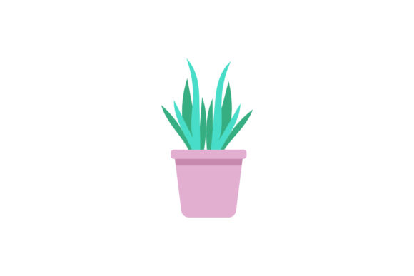 Fresh Flowers Illustration: A Practical Review for Digital Graphics and Illustrations